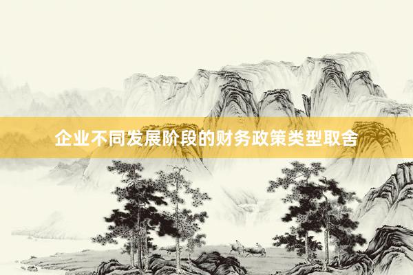 企业不同发展阶段的财务政策类型取舍