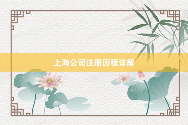 上海公司注册历程详解